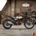 Royal Enfield Himalayan 450 - Rust Brown Wrap