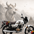 TVS Radeon - Nandi Wrap